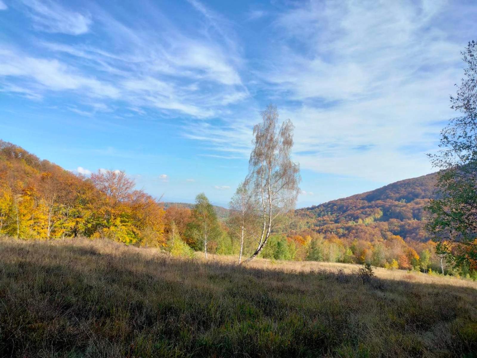 Соколів Камінь Novoselitsa  Exteriér fotografie
