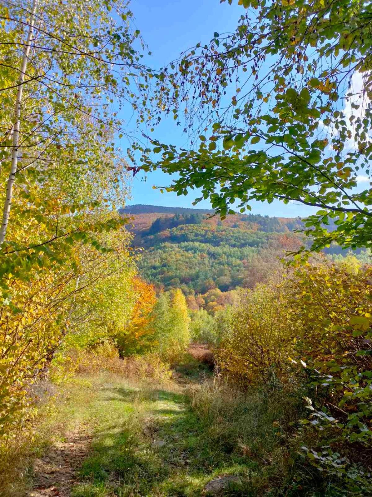 Соколів Камінь Novoselitsa  Exteriér fotografie