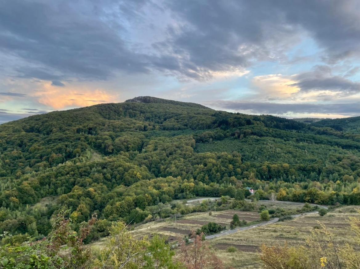 Соколів Камінь Novoselitsa  Exteriér fotografie